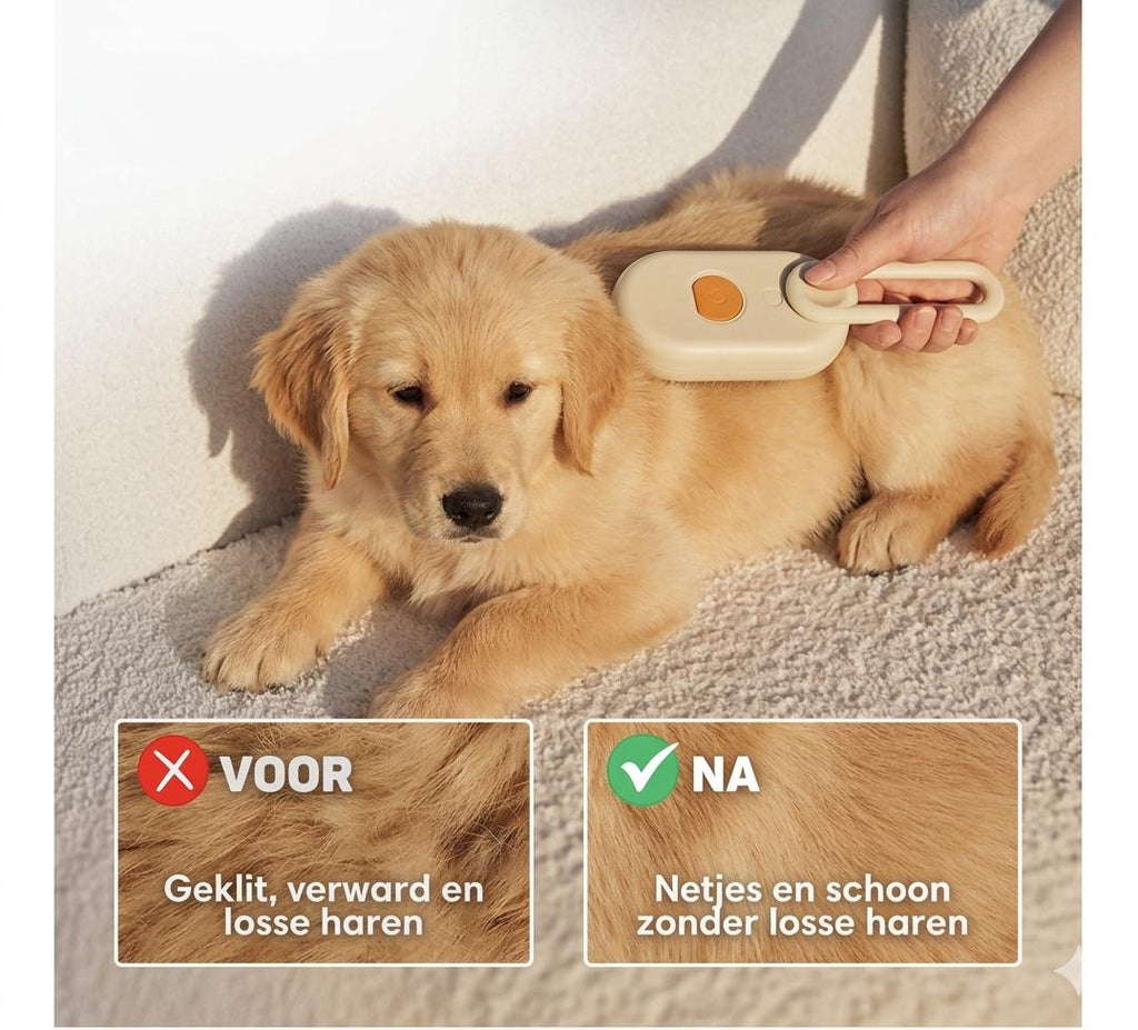 HydroBrush – Professionele Stoomborstel