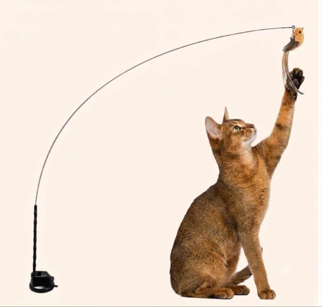 Vogel Jacht - Interactieve Simulator Set Voor Katten