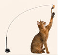 Vogel Jacht - Interactieve Simulator Set Voor Katten