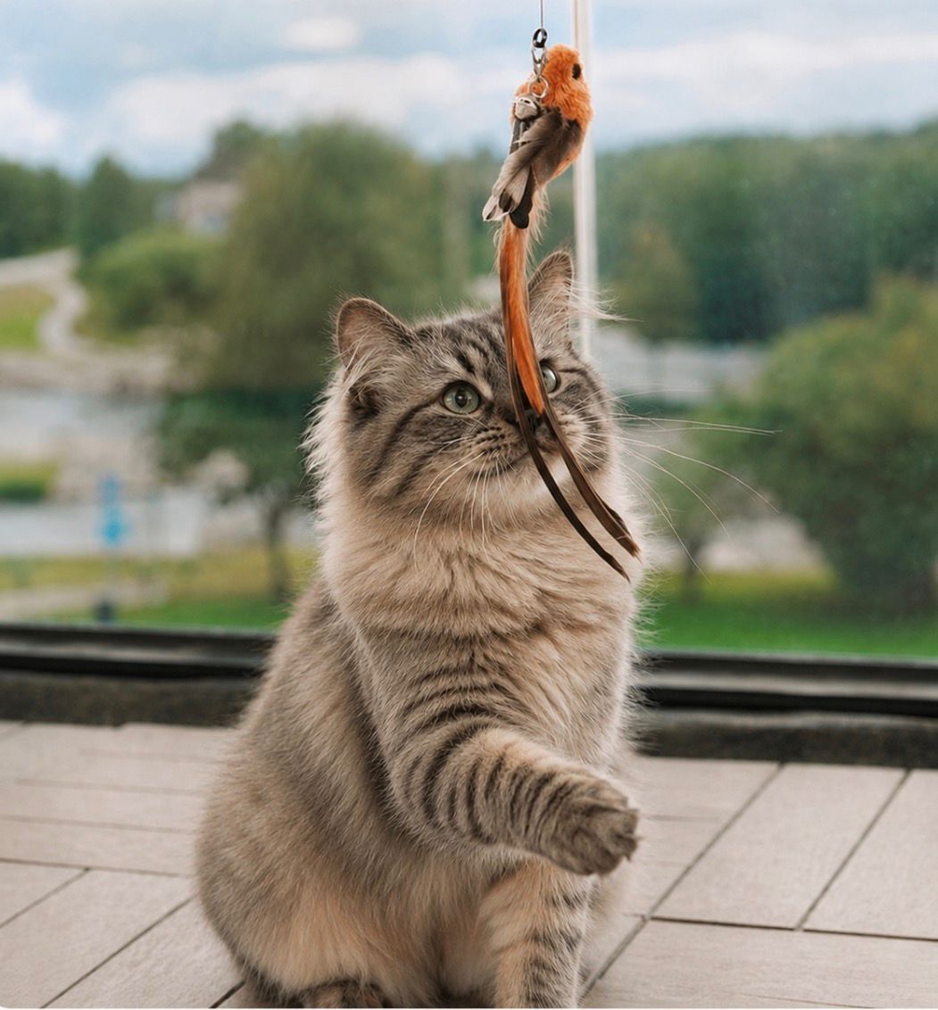 Vogel Jacht - Interactieve Simulator Set Voor Katten