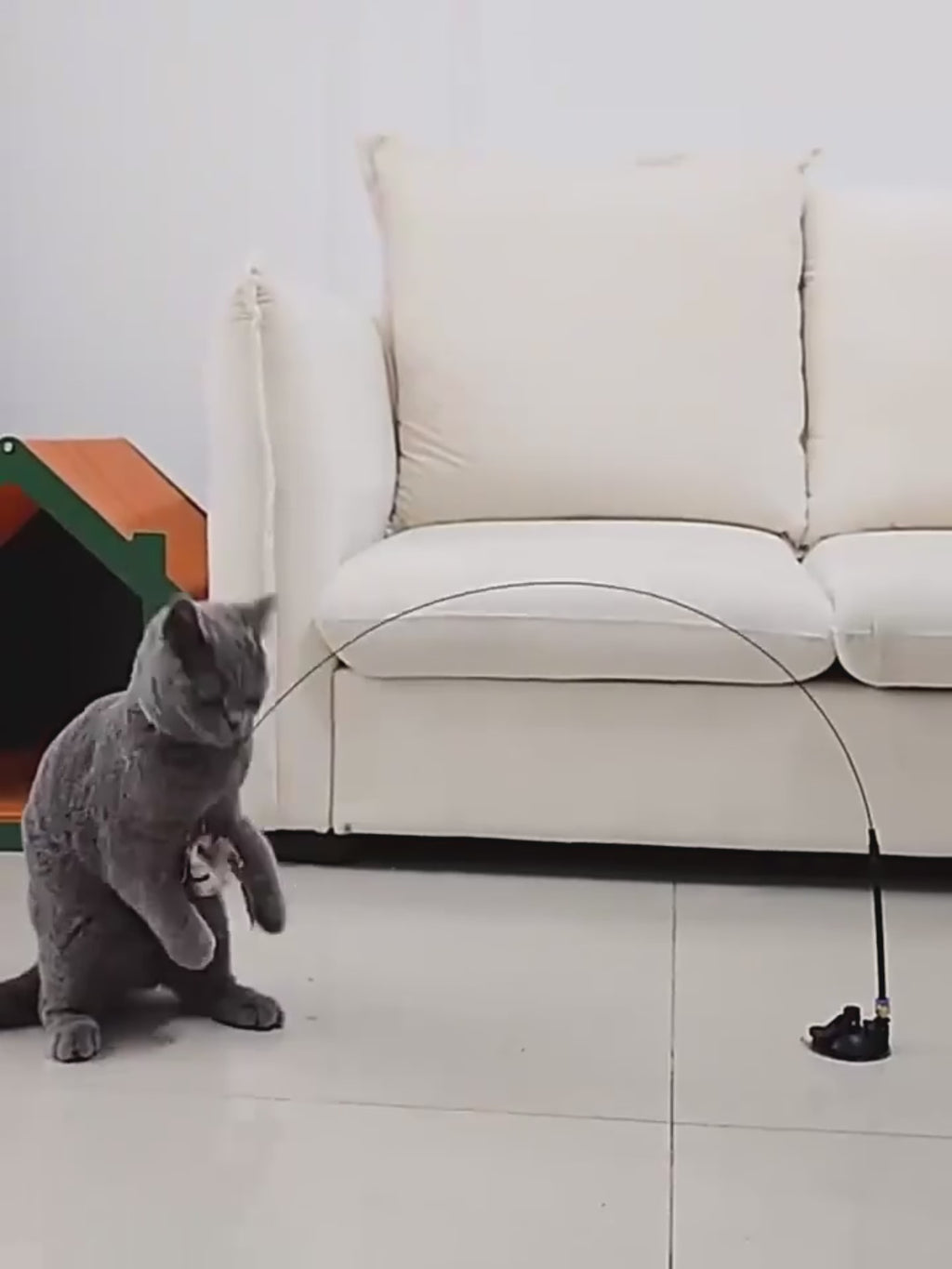 Vogel Jacht - Interactieve Simulator Set Voor Katten